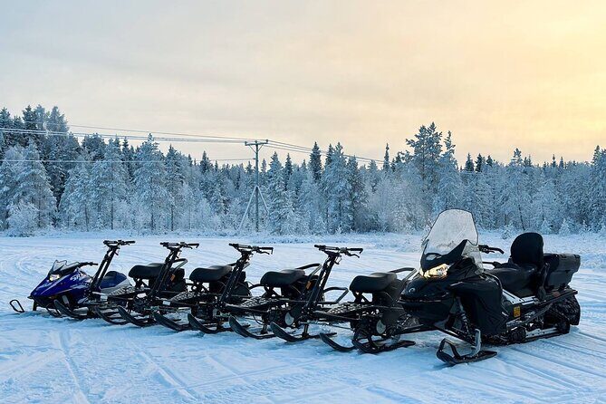 Expedition "INTO THE WILD" Safari and Lunch in Glass Igloo - The Value of This Tour