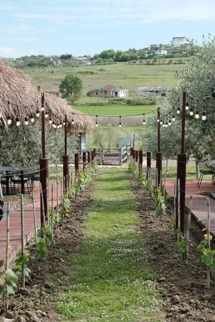 Experience Albanian Wine, daily tours from Durres - The Realities and Considerations