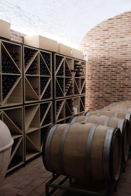 Experience Albanian Wine, daily tours from Durres - Who Is This Tour Best Suited For?