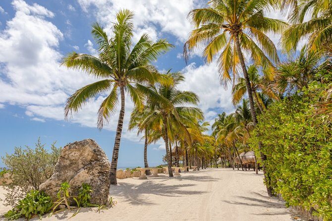 Experience an amazing ecological park tour & explore Isla Mujeres by catamaran. - The Experience Guides and Customer Feedback