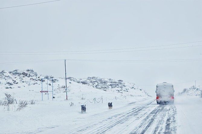 Experience Armenia - Day Trip from Tbilisi - Final Thoughts