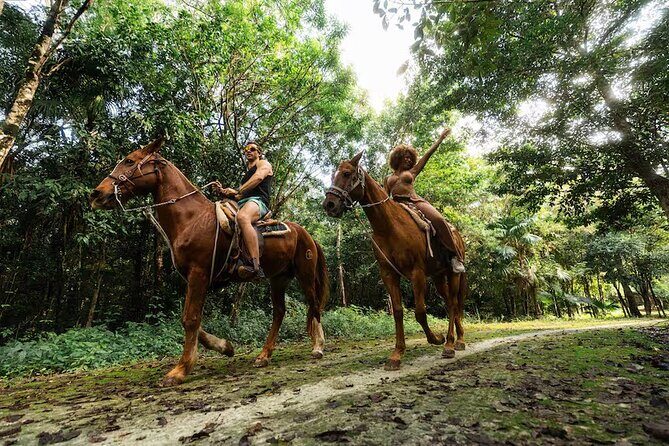 Experience ATV, Ziplines, Cenote and Horses Ride in Cancún - Experience ATV, Ziplines, Cenote, and Horses Ride in Cancún