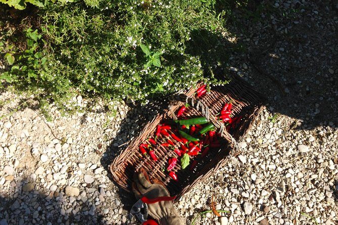 Experience Authentic Belgian Cuisine: Cooking Lesson and Meal with a Ghent Local - Final Thoughts