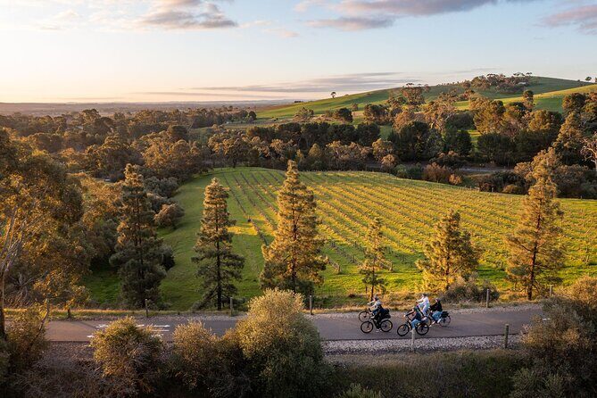 Experience Barossa Valley by E-bike - Practical Considerations