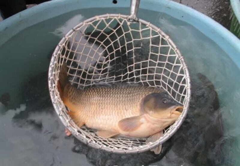 Experience Christmas Shopping In Prague - A Closer Look at the Christmas Shopping Tour in Prague