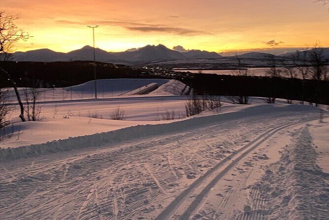 Experience Cross-Country Adventure in Tromsø - What to Expect on This Tromsø Cross-Country Skiing Tour
