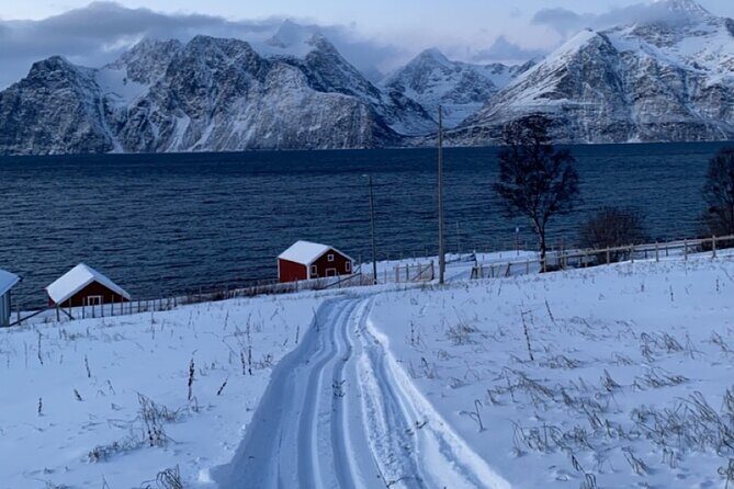 Experience Cross-Country Adventure in Tromsø - Final Thoughts
