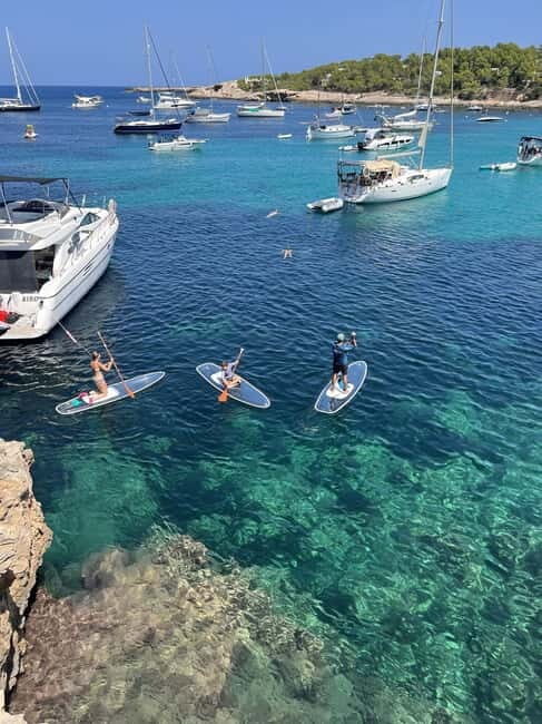 Experience Crystal paddle surf Tours + snorkel - What to Expect on the Tour