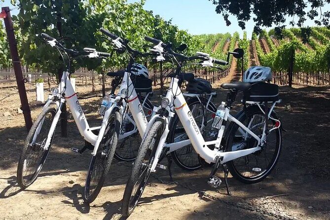 Experience E-Bike with Wine Tasting Activity - Exploring the E-Bike and Wine Tasting Tour Near Sedona