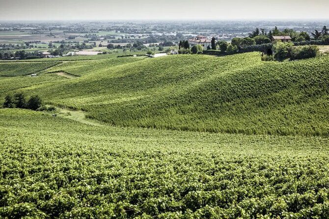 Experience Emilian Wines at Bologna Vineyard Vista - FAQ