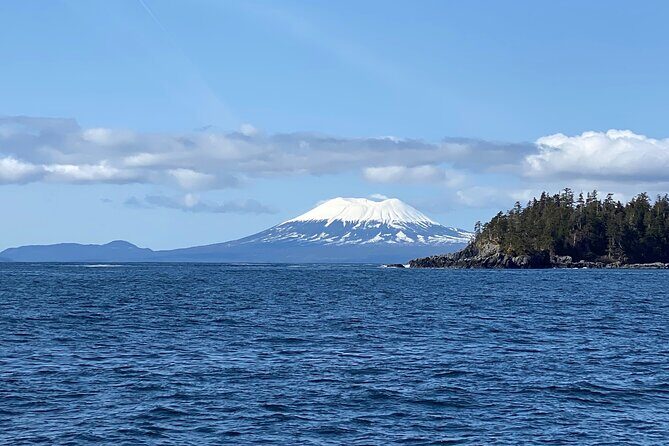 Experience Local Marine Wildlife Tour - Is It Worth the Price?