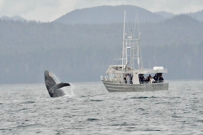 Experience Local Marine Wildlife Tour - Practical Details & Booking