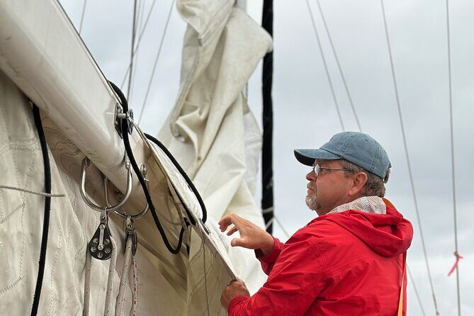 Experience Oceanside Sailing with Whales and dolphins! - The Sum Up