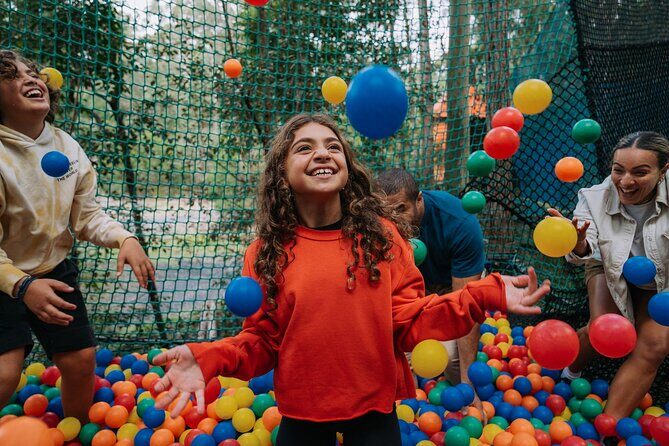 Experience Ourimbah State Forest Networld Adventure - What This Experience Is All About