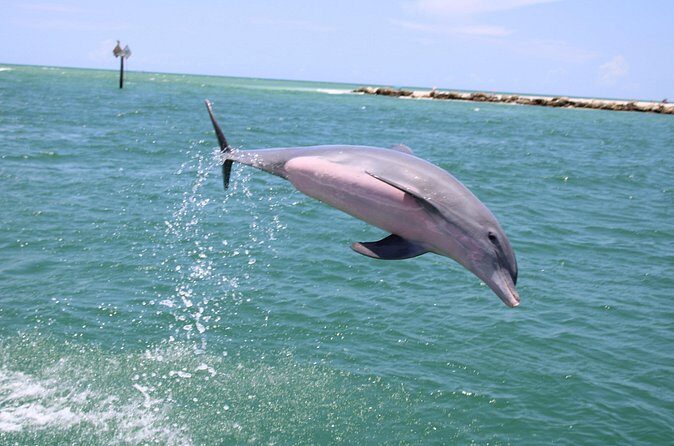 Experience Parasailing in Sarasota - Final Thoughts