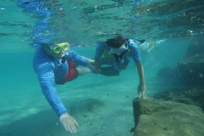 Experience Peanut Island Adventures - A Close Look at the Experience