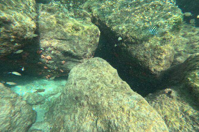 Experience Peanut Island Adventures with Go Pro - Who Is This Tour Best For?