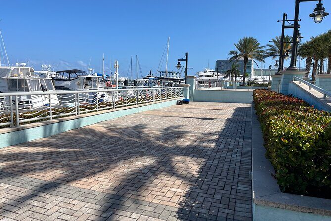 Experience Peanut Island Adventures with Go Pro - FAQ about the Peanut Island Adventure Tour