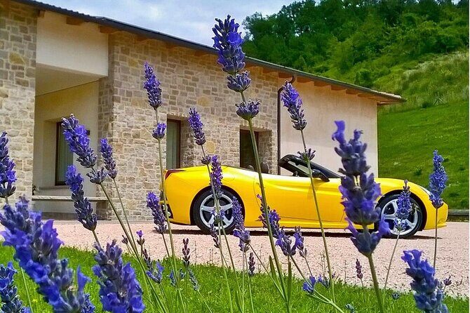 Experience PLUS program - Overall Experience and Who It’s For