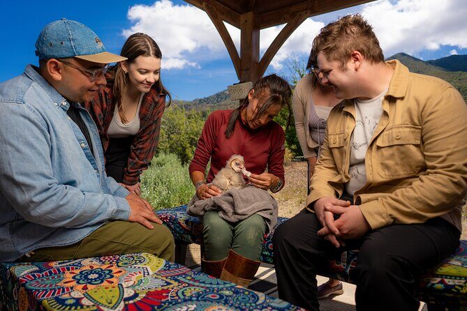 Experience Raptors and Falconry in Reno - The Experience: What You Can Expect