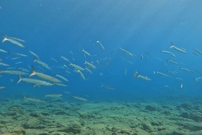 Experience Scuba Diving in Heraklion Crete - FAQ