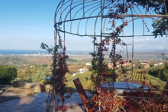 Experience Slovenian Coast line with Wine Tasting from Trieste - FAQ