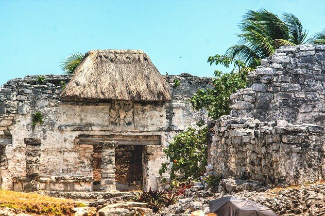 EXPERIENCE SWIMMING with the TURTLES and Discover the amazing Tulum Ruins tours. - Final Thoughts