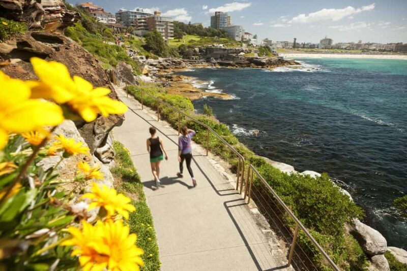 Experience Sydney's Best Beaches: Private Tour - Who Would Love This Tour?