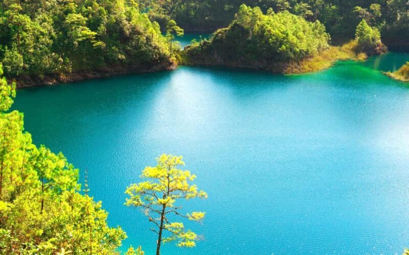 Experience the Magic of Chiapas: 3-Day Tour - Cultural Encounters in Indigenous Communities