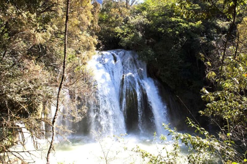 Experience the Magic of Chiapas: 3-Day Tour - Final Thoughts