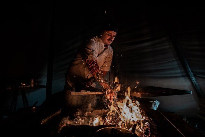 Experience the majestic Auroras Kiruna-Abisko & lodge dinner - Detailed Review of the Auroras Kiruna-Abisko & Lodge Dinner Tour