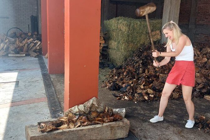 Experience the Mezcal Tour in Oaxaca - Authentic Experiences and Reviews