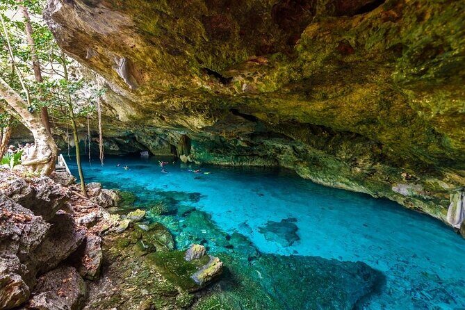 Experience this tour to Tulum, an artistic picture spot and cenotes adventure. - How Does the Price Stack Up?