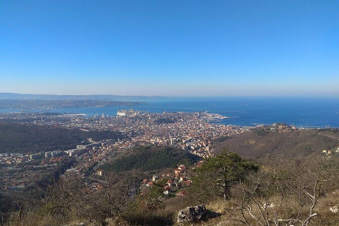 Experience Trieste - Is This Tour Worth the Price?