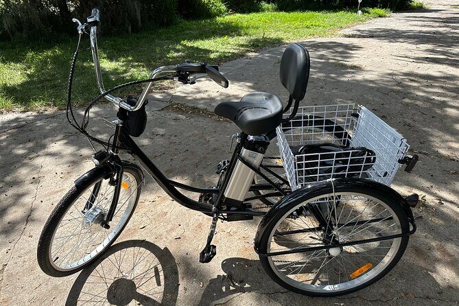 Experience Wild Florida Nature Up Close on Electric Trike (2 hrs) - Key Points