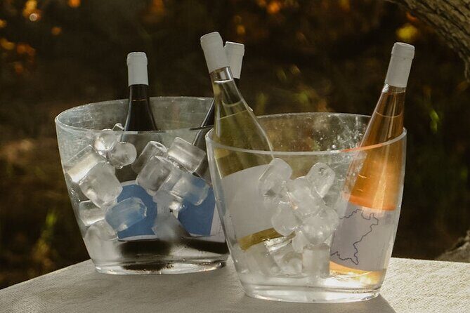 Experience Wine Break in Portugal - The Real Traveler Perspective