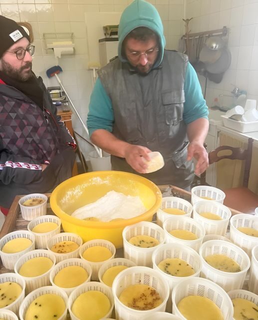 Experience with Girgentan goats in Agrigento - Final Thoughts