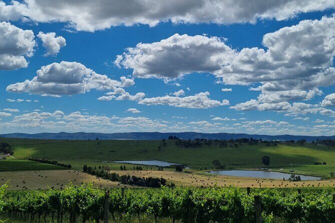 Experience Yarra Valley: A Tailored private Wine Journey - Pricing and Value