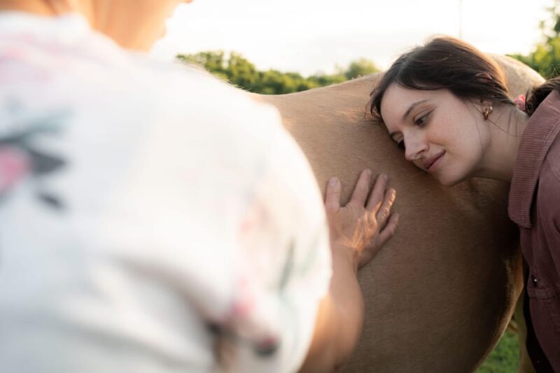 Experiential activity with horses: an experience in connection - What You Actually Do