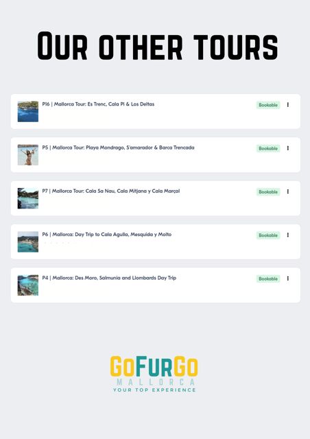 Experinence in Mondrago /S'amarador / Trencada Snorkel y SUP - What to Expect from the Day