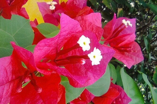 Expert Guided: Chichen Itza Tour with Early Access - What We Love About the Tour