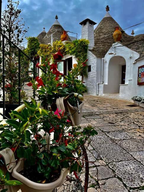 Expert Guided Visit & Tasting, Alberobello - Key Points