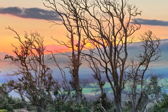 Expert Led Private Guided Tour Hawaii Volcanoes National Park - Final Thoughts