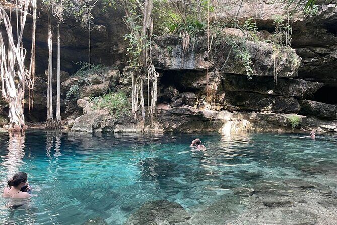 Explore 4 Amazing Cenotes with Lunch Tour from Merida - The Experience in Practice