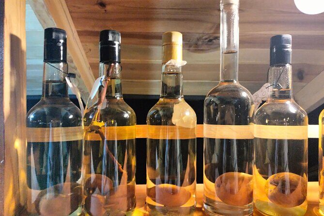 Explore 7 Artisanal Mezcals + Handcrafted Moles in Central Oaxaca - In The Sum Up