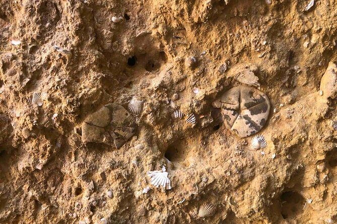 Explore Algarve Caves & Wild Beaches Kayak Tour - The Experience for Different Types of Travelers