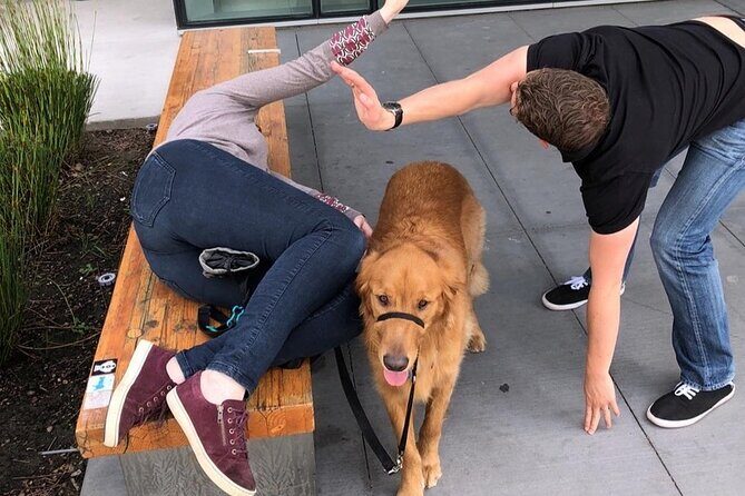 Explore Anaheim with a Unique Scavenger Hunt by Wacky Walks - Interaction with the Remote Host