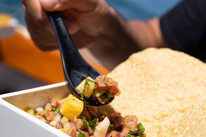 Explore Banderas Bay: Exclusive Boat Journies - Key Points