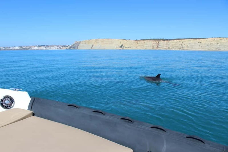 Explore Benagil, Ponta da Piedade and Dolphins in Algarve - FAQ: Your Questions Answered