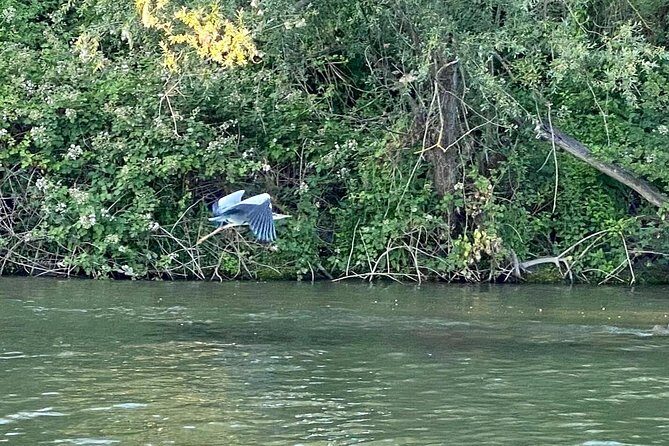 Explore Bird & Marine Wildlife private Boat Tour in English - What to Expect from the Frankfurt Boat Tour